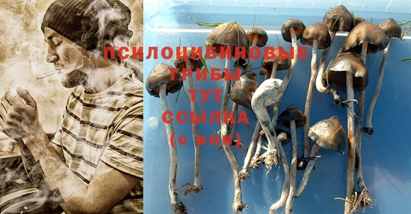 спиды Няндома