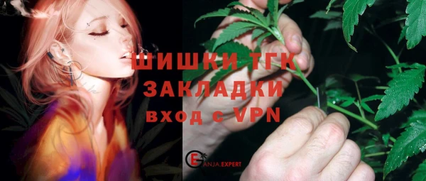 МДПВ Аша