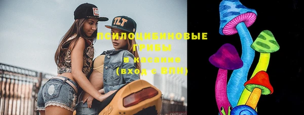 спиды Няндома