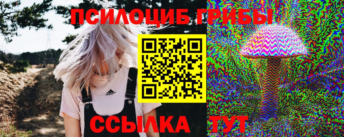 Псилоцибиновые грибы GOLDEN TEACHER  цены наркотик  Казань  Вход с VPN 