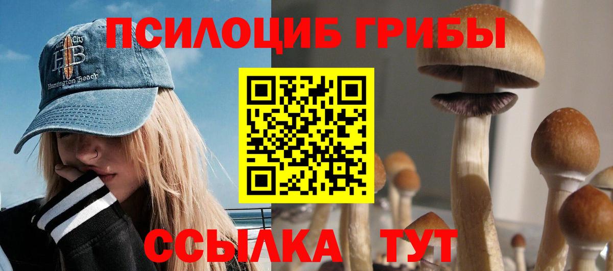Псилоцибиновые грибы Cubensis Казань