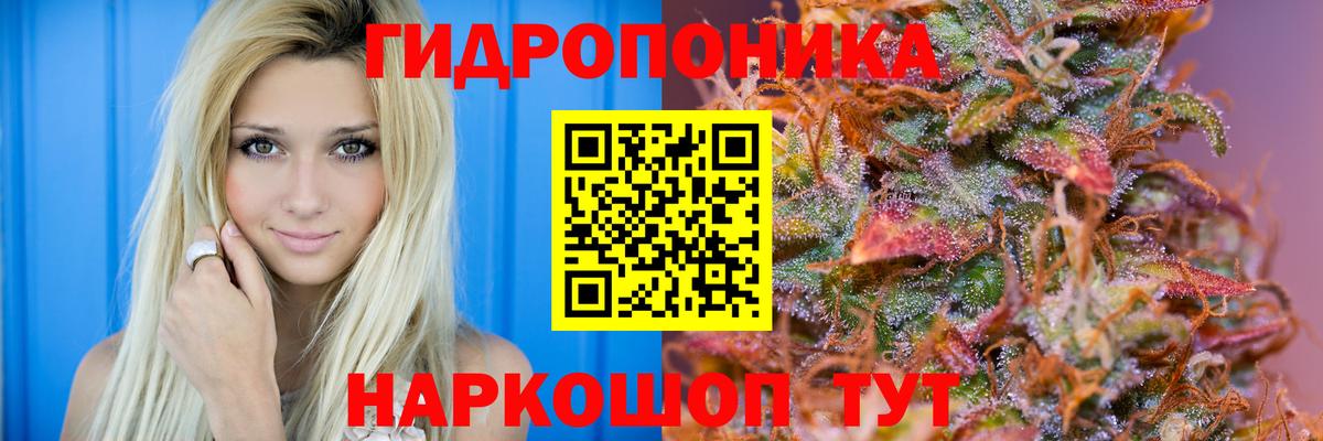 Казань  Шишки марихуана Bruce Banner  Вход с VPN  Марихуана план  Бошки марихуана ГИДРОПОН 